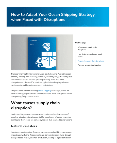  How to Adapt Your Ocean Shipping Strategy when Faced with Disruptions